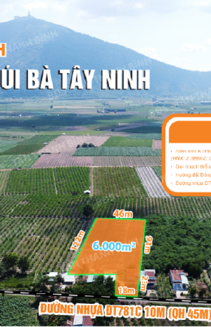 005 -  6.000m² - NHÀ MẶT TIỀN ĐƯỜNG KINH DOANH 10M ĐT781C_KDL TL NÚI BÀ_TT DƯƠNG MINH CHÂU