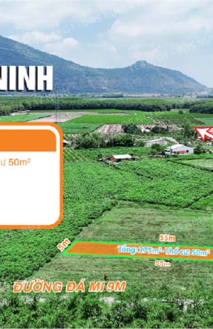 008 - 🔥 NỀN ĐẤT VIEW NÚI BÀ GIÁ CỰC MỀM – CHỈ 310 TRIỆU 🔥