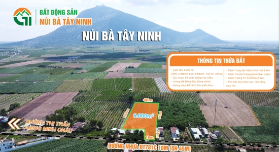 005 -  6.000m² - NHÀ MẶT TIỀN ĐƯỜNG KINH DOANH 10M ĐT781C_KDL TL NÚI BÀ_TT DƯƠNG MINH CHÂU
