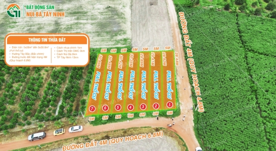 015 - 🔥 7 LÔ ĐẤT 150M² FULL THỔ CƯ – ĐƯỜNG LỚN QUY HOẠCH 6.8M KDC HIỆN HỮU – GẦN THỊ TRẤN – GIÁ SỈ 300 TRIỆU/LÔ, GIÁ LẺ TỪ 320-350TRIỆU/LÔ🔥