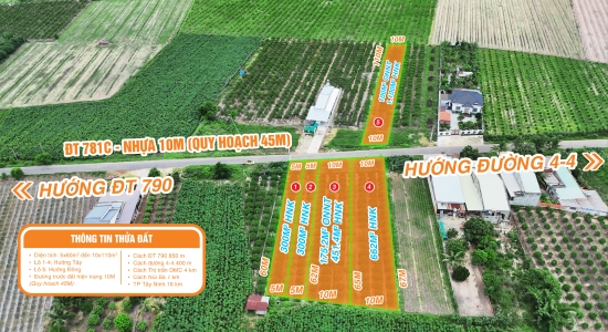 014 - 🔥 MẶT TIỀN KINH DOANH – DIỆN TÍCH LỚN – VIEW CHÍNH DIỆN NÚI BÀ – TRỤC ĐƯỜNG NHỰA DÂN SINH DT781C QH 45M– GIÁ CHỈ TỪ 1.6 TRIỆU/M² - 2.8 TRIỆU/M²🔥