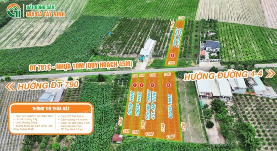 🔥 MẶT TIỀN KINH DOANH – DIỆN TÍCH LỚN – VIEW CHÍNH DIỆN NÚI BÀ – TRỤC ĐƯỜNG NHỰA DÂN SINH DT781C QH 45M– GIÁ CHỈ TỪ 1.6 TRIỆU/M² – 2.8 TRIỆU/M²🔥 (1) (1) (1)