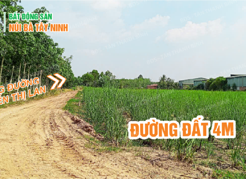 004 - ✨ 2 LÔ ĐẤT NỀN GIÁ RẺ KHU DÂN CƯ - HOÀ HIỆP – TÂN BIÊN – TÂY NINH ✨