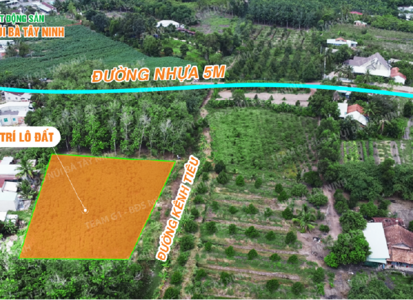 013 - 🔥 NGUYÊN LÔ 2.800M² HNK – GIÁ NGỘP CHỈ 1 TỶ (≈ 360TR/1000M²) Mặt tiền 70m bờ kênh – Sát KDC Thạnh Đông, Tân Châu – Cách nhựa chỉ 40m – Sổ sẵn
