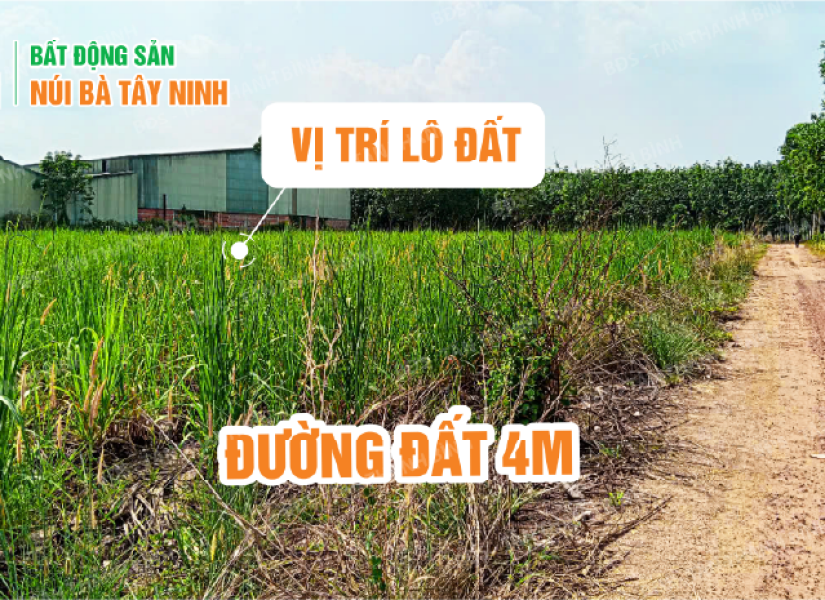 004 - ✨ 2 LÔ ĐẤT NỀN GIÁ RẺ KHU DÂN CƯ - HOÀ HIỆP – TÂN BIÊN – TÂY NINH ✨