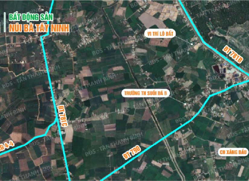 003 - 🌿 ĐẤT NGHỈ DƯỠNG VIEW NÚI BÀ – GIÁ CHỈ 500 TRIỆU 🌿