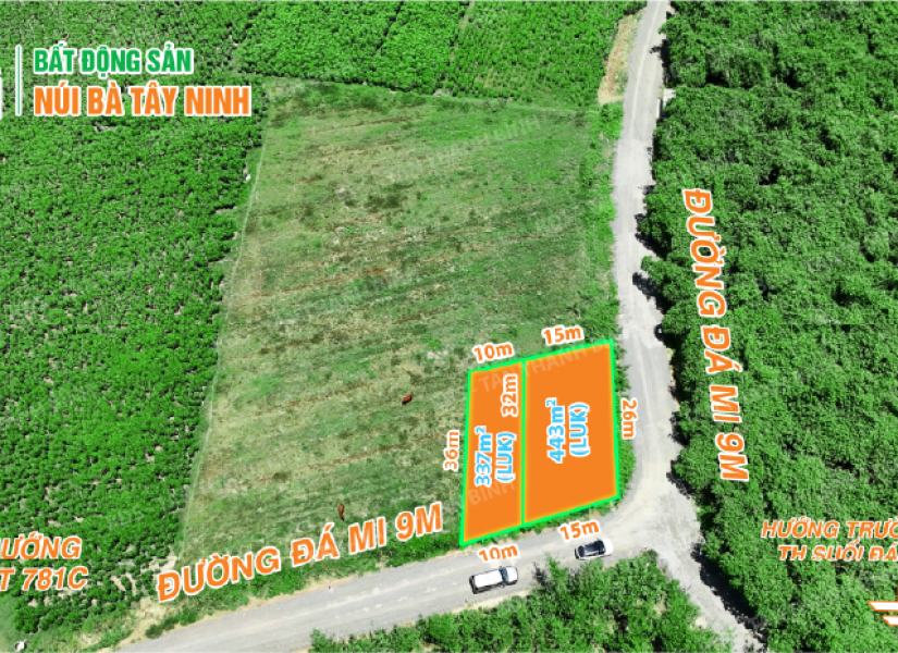 ​  009 - ĐẤT VIEW NÚI BÀ – GIÁ CỰC MỀM CHỈ 55 TRIỆU/M NGANG