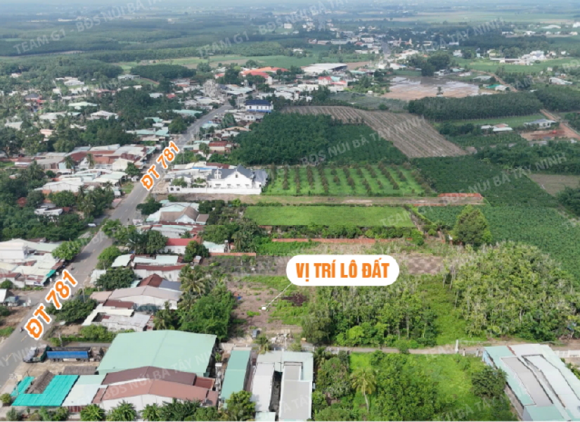 011 - 🔥 LÔ ĐẤT DUY NHẤT – CÁCH NHỰA 781 CHỈ 50M – GẦN CHỢ & UBND XÃ PHAN – FULL THỔ CƯ - GIÁ CHỈ 450 TRIỆU 🔥