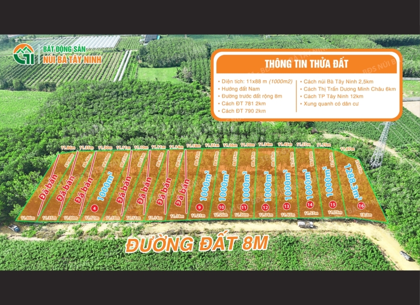 025-​ SỞ HỮU NGAY 16 LÔ SÀO ĐẸP TẠI XÃ PHAN – GẦN NÚI BÀ TÂY NINH – CHỈ 550 TRIỆU/LÔ   ​