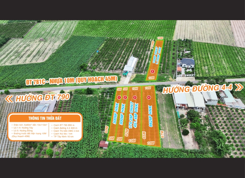 014 - 🔥 MẶT TIỀN KINH DOANH – DIỆN TÍCH LỚN – VIEW CHÍNH DIỆN NÚI BÀ – TRỤC ĐƯỜNG NHỰA DÂN SINH DT781C QH 45M– GIÁ CHỈ TỪ 1.6 TRIỆU/M² - 2.8 TRIỆU/M²🔥