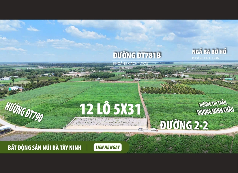 031-ĐẤT MẶT TIỀN NHỰA – FULL THỔ CƯ – VỊ TRÍ ĐẸP DƯƠNG MINH CHÂU