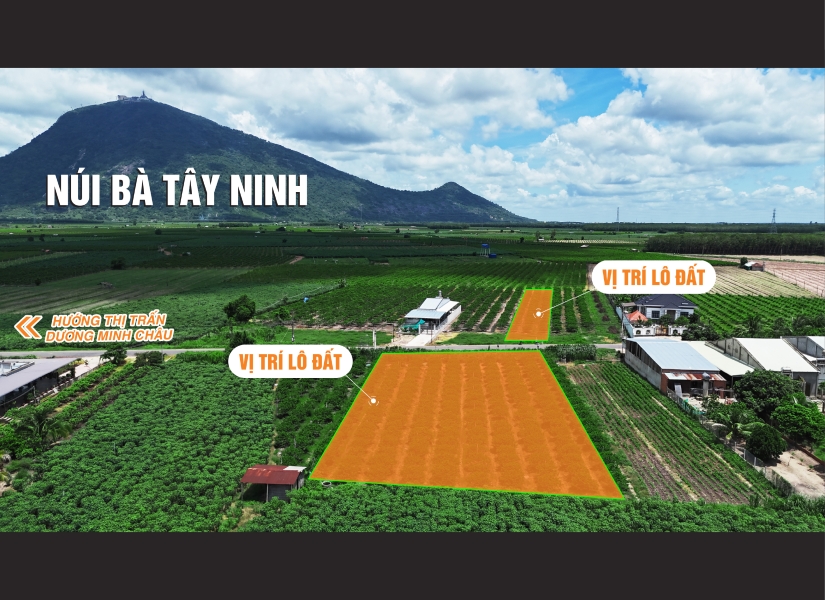 014 - 🔥 MẶT TIỀN KINH DOANH – DIỆN TÍCH LỚN – VIEW CHÍNH DIỆN NÚI BÀ – TRỤC ĐƯỜNG NHỰA DÂN SINH DT781C QH 45M– GIÁ CHỈ TỪ 1.6 TRIỆU/M² - 2.8 TRIỆU/M²🔥