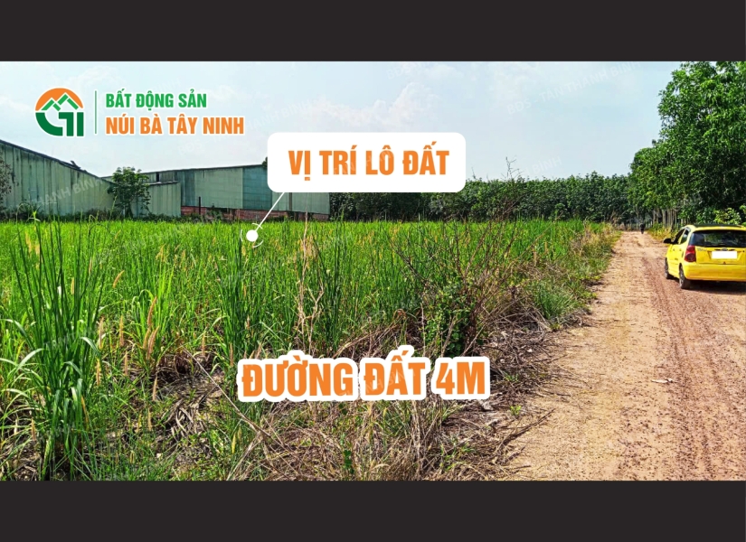 004 - ✨ 2 LÔ ĐẤT NỀN GIÁ RẺ KHU DÂN CƯ - HOÀ HIỆP – TÂN BIÊN – TÂY NINH ✨