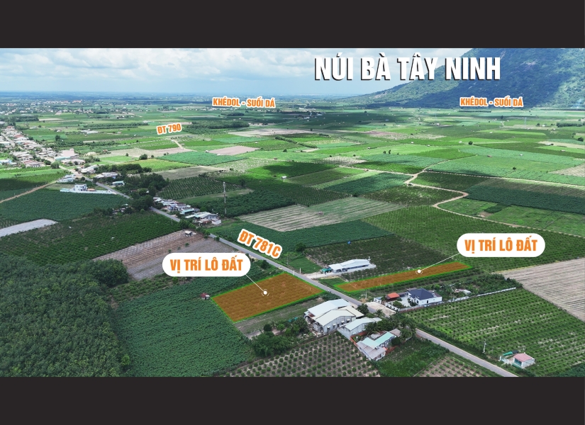 014 - 🔥 MẶT TIỀN KINH DOANH – DIỆN TÍCH LỚN – VIEW CHÍNH DIỆN NÚI BÀ – TRỤC ĐƯỜNG NHỰA DÂN SINH DT781C QH 45M– GIÁ CHỈ TỪ 1.6 TRIỆU/M² - 2.8 TRIỆU/M²🔥