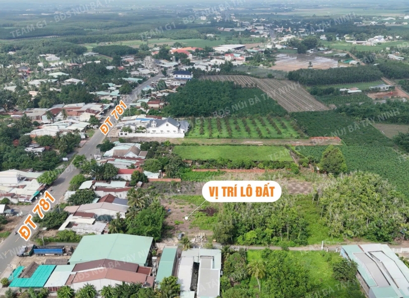 019 - (Đã bán) - LÔ ĐẤT  GẦN CHỢ & UBND XÃ PHAN – FULL THỔ CƯ 🔥