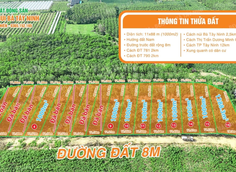 025-​ SỞ HỮU NGAY 16 LÔ SÀO ĐẸP TẠI XÃ PHAN – GẦN NÚI BÀ TÂY NINH – CHỈ 550 TRIỆU/LÔ   ​