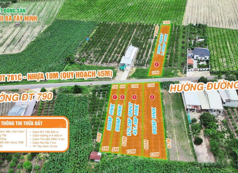 🔥 MẶT TIỀN KINH DOANH – DIỆN TÍCH LỚN – VIEW CHÍNH DIỆN NÚI BÀ – TRỤC ĐƯỜNG NHỰA DÂN SINH DT781C QH 45M– GIÁ CHỈ TỪ 1.6 TRIỆU/M² – 2.8 TRIỆU/M²🔥
